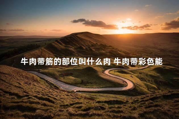 牛肉带筋的部位叫什么肉 牛肉带彩色能吃吗